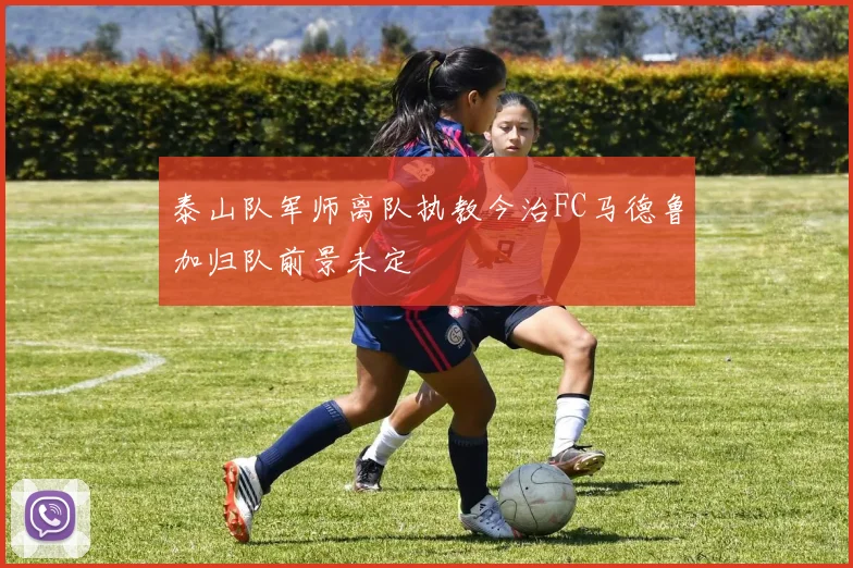 泰山队军师离队执教今治FC马德鲁加归队前景未定